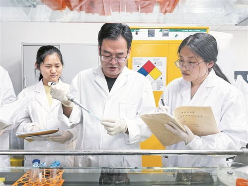 楚生輝 為新疆中藥學(xué)發(fā)展貢獻(xiàn)力量的醫(yī)學(xué)研究與試驗先鋒