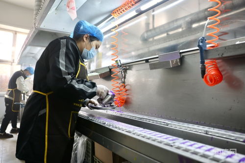 河北寧晉 小蠟燭點亮富民大產(chǎn)業(yè)，推動醫(yī)學(xué)研究與試驗發(fā)展